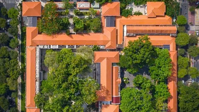 ធ្វើជាសាក្សីរឿង "ដីមាស" ដែលធ្វើអោយតារាសម្តែង Truong Ngoc Anh មានបញ្ហាជាមួយច្បាប់