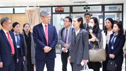 Hai Phong memperkuat kerja sama penelitian di bidang biomedis dengan Korea