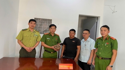 Xã Đắk Liêng: Người dân giao nộp một cá thể Tê Tê cho cơ quan chức năng