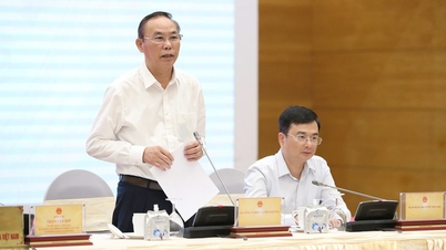 ຮອງລັດຖະມົນຕີກະຊວງກະສິກຳ ແລະ ສິ່ງແວດລ້ອມ ແຈ້ງສະພາບ 'ໄພນໍ້າຖ້ວມ'