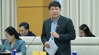 Debate sobre la propuesta de que "las localidades con condiciones implementarán primero los libros de texto gratuitos".