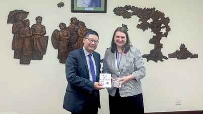 Styrking av det vietnamesisk-kanadiske konsulære samarbeidet