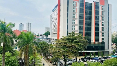 Zielone, czyste, piękne otoczenie placówki medycznej: Kiedy każda osoba przyczynia się do posadzenia drzewa, segregując odpady we właściwym miejscu