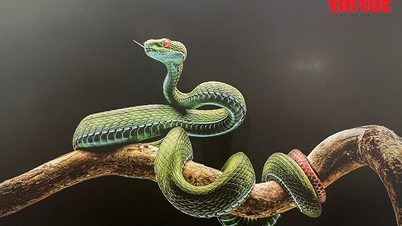 'Dance from nature' spreads love for Vietnam's biodiversity