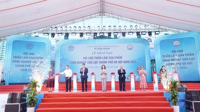 'Three houses' together promote digital transformation and applied research