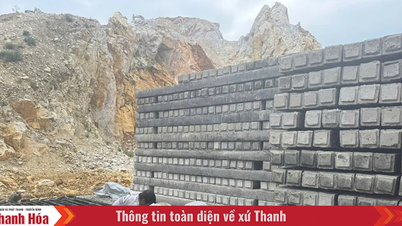 Xã Ngọc Trạo chuyển đổi cơ cấu kinh tế