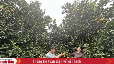 Dien Lu នាំយកសេចក្តីសម្រេចរបស់សមាជបក្សមកក្នុងជីវិត