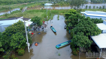 Oblast přesídlení v Ca Mau byla čtyři roky obklopena záplavovou vodou