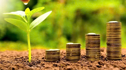 Lịch chốt quyền trả cổ tức trong tuần từ ngày 10-14/11