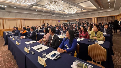 2025 Tokyo Film Festivali'nde Vietnam sinemasının tanıtımı