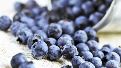 Blueberry meningkatkan fungsi kognitif pada orang dewasa yang lebih tua