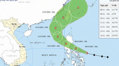 Storm Phoenix strengthens to level 15, likely to become a super typhoon today