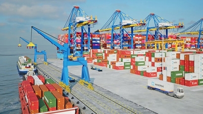 Towary wietnamskie stają w obliczu nowego „wyścigu” na rynku CPTPP