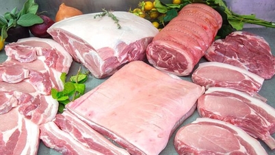 Prix ​​du porc aujourd'hui, 9 novembre : le lard gras est à 69 524 VND/kg.