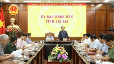 ທ່ານ​ຮອງ​ນາ​ຍົກ​ລັດ​ຖະ​ມົນ​ຕີ ຟ້າມ​ບິ່ງ​ມິງ ໄດ້​ເຮັດ​ວຽກ​ກັບ​ແຂວງ Gia Lai ກ່ຽວ​ກັບ​ສະ​ພາບ​ການ...