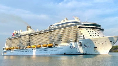 កប៉ាល់ទេសចរណ៍ប្រណីតជាច្រើនបានត្រឡប់ទៅទីក្រុងហូជីមិញវិញ។