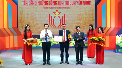 বেসরকারি অর্থনীতি: কোয়াং ত্রির সাফল্যের চালিকা শক্তি