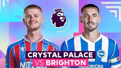 Kommentare zum Spiel Crystal Palace gegen Brighton, 9. November, 21:00 Uhr: „Adler“ jagen „Möwen“