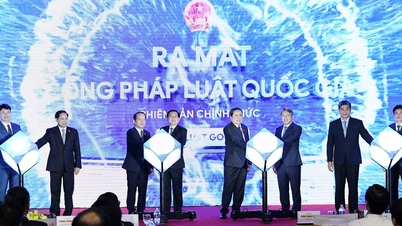 Podpora kultury úcty k ústavě a zákonům