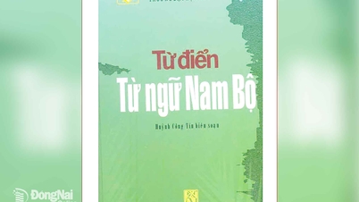 দক্ষিণী শব্দ এবং উপভাষার অনন্য বৈশিষ্ট্য