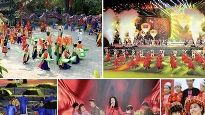 Cultura sob uma perspectiva jurídica: quando a beleza também precisa de um arcabouço legal.