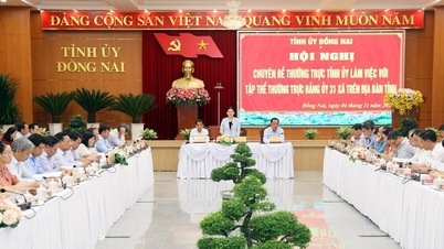 উচ্চ বিশেষজ্ঞ কর্মীদের আকর্ষণ, প্রশিক্ষণ এবং লালন-পালনের জন্য একটি ব্যবস্থা থাকা উচিত।