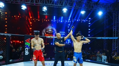 Mistrzostwa LION 28: Ha The Anh szybko przegrał z chińskim bokserem