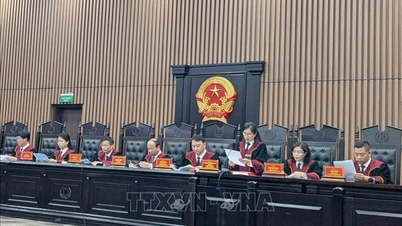 ການ​ຕັດ​ສິນ​ໃຈ​ທີ່​ຈະ​ປູ​ທາງ​ໃຫ້​ການ​ເປັນ​ມື​ອາ​ຊີບ​ຕຸ​ລາ​ການ - ພາກ​ທີ 2​