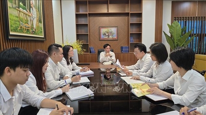 ການ​ຕັດ​ສິນ​ໃຈ​ທີ່​ຈະ​ປູ​ທາງ​ໃຫ້​ການ​ຕຸ​ລາ​ການ​ເປັນ​ມື​ອາ​ຊີບ - ບົດ​ຄວາມ​ທີ່​ສຸດ​