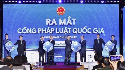 Інновації в юридичній роботі – рушійна сила національного розвитку в нову еру