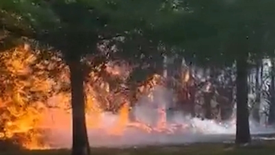 Allvarlig skogsbrand, Nya Zeeland skickar fler flygplan för att rycka ut