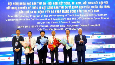 Leading doctors in Japan and India participate in international spine symposium in the Mekong Delta