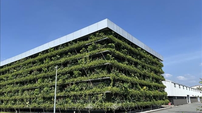 वैश्विक आपूर्ति श्रृंखलाओं को एकीकृत करते समय हरित परिवर्तन की चुनौतियाँ