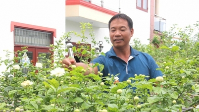 ດົ່ງນາຍ OCOP transition: [Part 2] ເປີດຊ່ອງທາງການຈໍາໜ່າຍໃໝ່