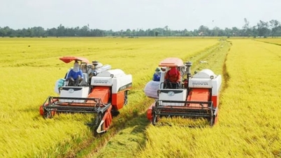 IFAD و ویتنام مرکز کشاورزی سبز منطقه‌ای می‌سازند