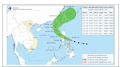 Da Nang réagit de manière proactive aux tempêtes proches de la mer de l'Est