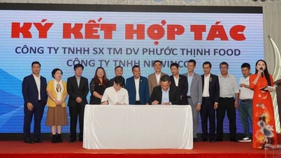 ມີຫຼາຍກິດຈະກໍາທີ່ມີຄວາມຫມາຍຈາກໂຄງການສົ່ງເສີມການຄ້າແລະການແລກປ່ຽນ pickleball