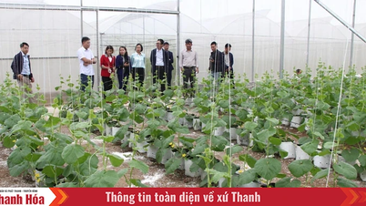 ການ​ປະ​ທັບ​ໃຈ​ຂອງ​ກະ​ສິ​ກໍາ​ທີ່​ທັນ​ສະ​ໄຫມ​