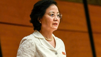 La viceprimera ministra Pham Thi Thanh Tra habla sobre la reforma salarial.