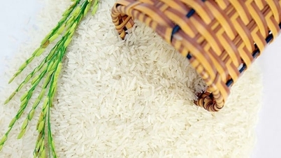 Rispris idag 9 november 2025: Marknaden förblir stabil