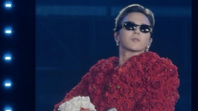 해외 관객들은 베트남에서의 지드래곤의 공연에 열광했다.