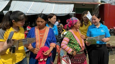 Г-жа Тэм предана своей работе.