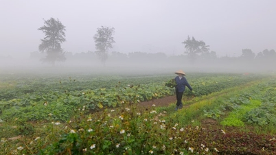 Kuzeyde kış ortasında alışılmadık derecede nemli bir hava vardır.
