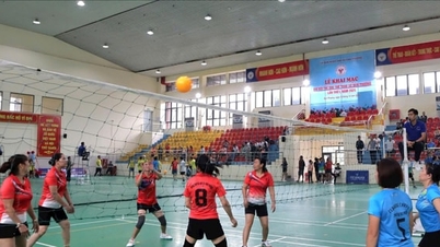 22 đội bóng tranh tài Giải bóng chuyền hơi xã Đan Phượng năm 2025