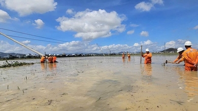 កម្មករ​១.០០០​នាក់​ទៀត​បាន​ស្តារ​បណ្តាញ​អគ្គិសនី​ជា​បន្ទាន់​នៅ Gia Lai និង Dak Lak បន្ទាប់​ពី​ខ្យល់ព្យុះ Kalmaegi