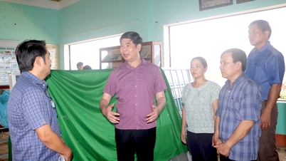 Vicevoorzitter van het provinciaal volkscomité van Lam Hai Giang inspecteert onderwijsfaciliteiten