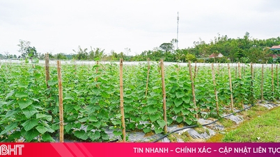 ກົດລະບຽບໃຫມ່ກ່ຽວກັບການຄິດໄລ່ຄ່າທໍານຽມການນໍາໃຊ້ທີ່ດິນໃນເວລາໃຫ້ໃບຢັ້ງຢືນ