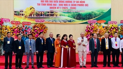 Lansering av kontaktkommittén för landsmän i Da Nang City i Dong Nai-provinsen
