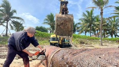 Upplev havets "välsignelser" uppströms