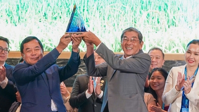 Beras ST25 terus memenangi hadiah pertama dalam peraduan Beras Terbaik Dunia pada tahun 2025